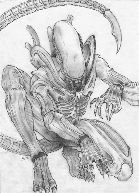 xenomorph dibujo